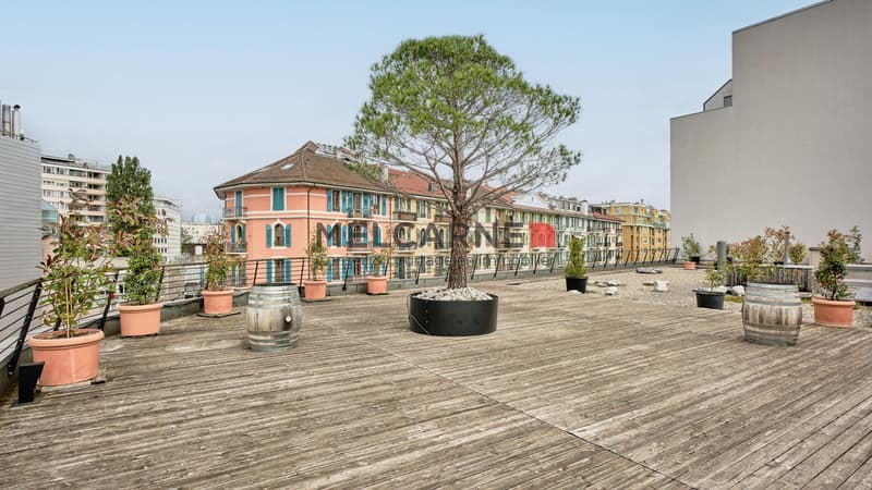 Bureaux de 2 500 m2 aménagés à louer (2)
