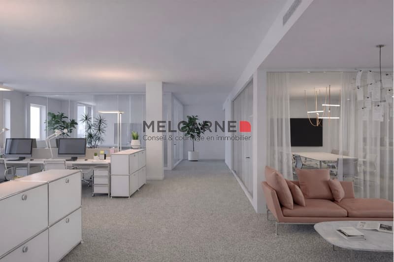 280m2 de bureaux à Plainpalais (2)