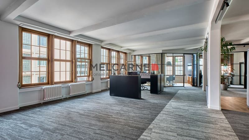 Bureaux aménagés d'environ 2'500 m² à louer (11)