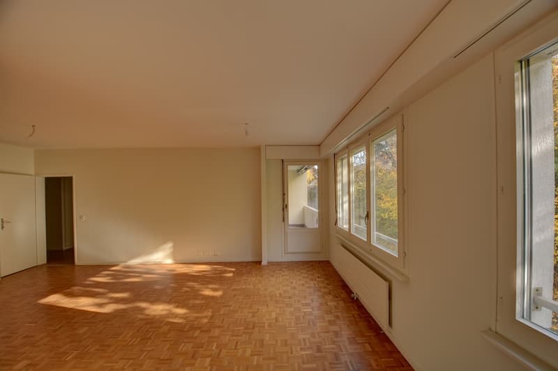 Appartement 3 pièces au Grand-Saconnex (2)