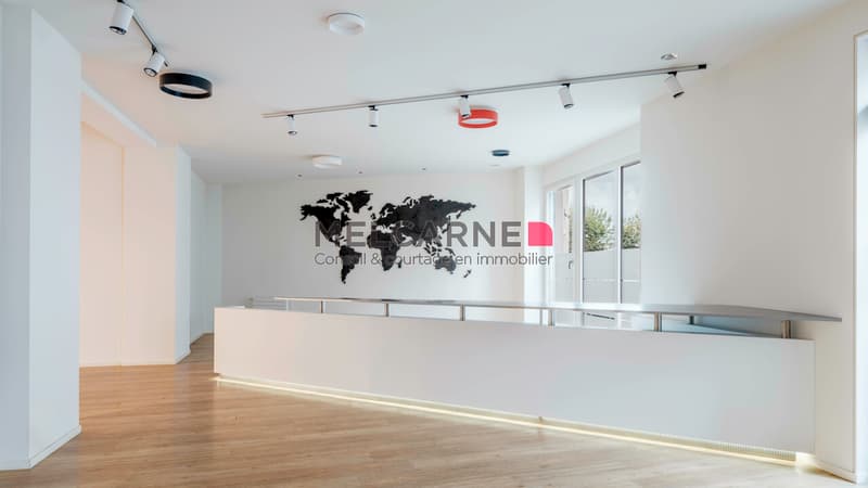 Surface d'environ 1'350 m2 à louer en plein coeur de Genève (3)
