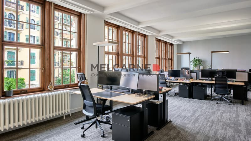Bureaux aménagés d'environ 2'500 m² à louer (13)