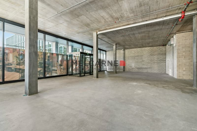 Pont Rouge: Ristorazione dell'arcata di ca. 300m² (3)