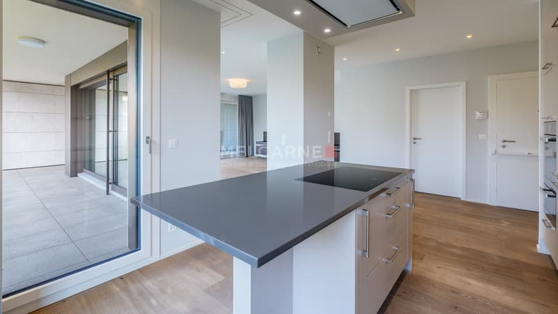 Exklusivität - Prachtvolle Wohnung mit Loggia (4)
