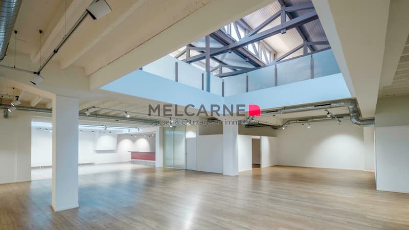 Surface d'environ 1'350 m2 à louer en plein coeur de Genève (4)