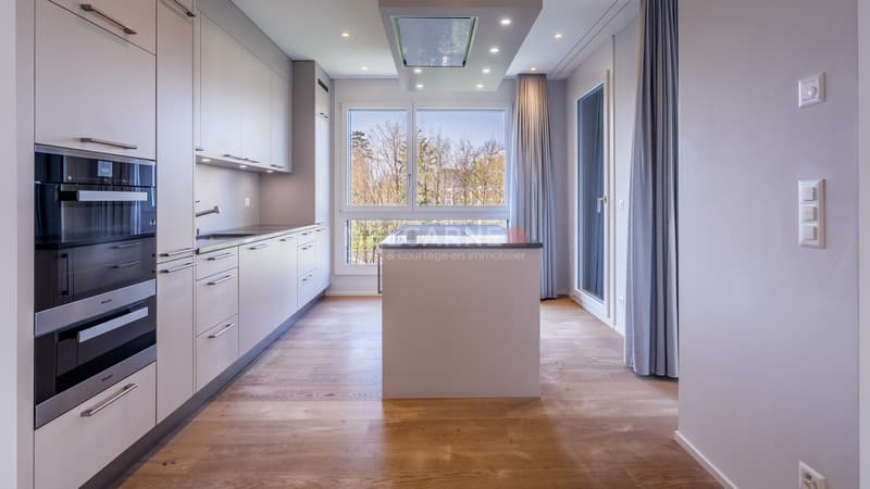 Exclusivité - Superbe appartement avec loggia (3)