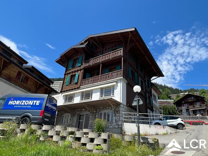 Meraviglioso edificio / 2 Appartamenti e 2 negozi (2)