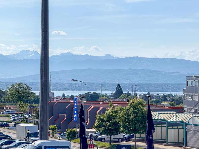 3 primi affitti offerti - Grandi uffici a Nyon - Bella terrazza - Vista sul lago (12)