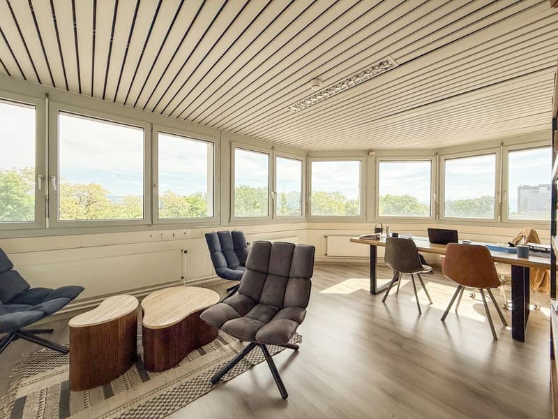 3 primi affitti offerti - Grandi uffici a Nyon - Bella terrazza - Vista sul lago (5)