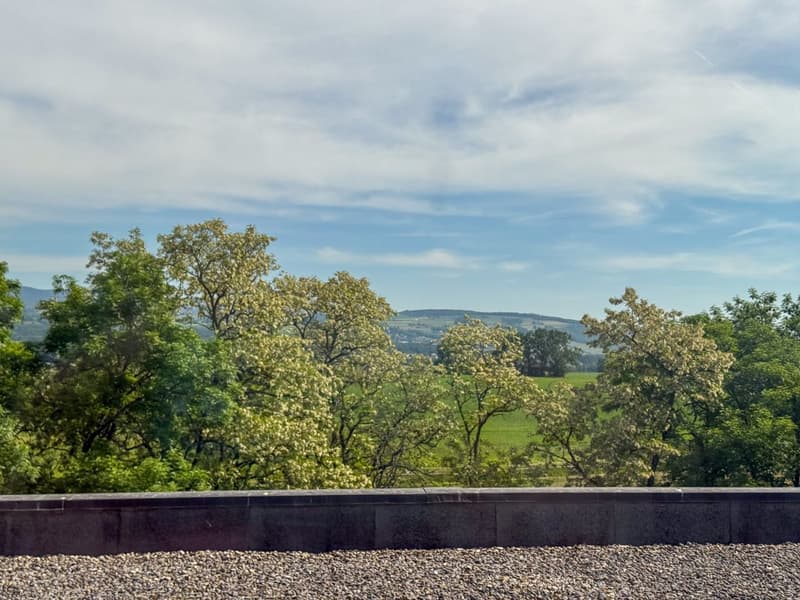 3 primi affitti offerti - Grandi uffici a Nyon - Bella terrazza - Vista sul lago (4)
