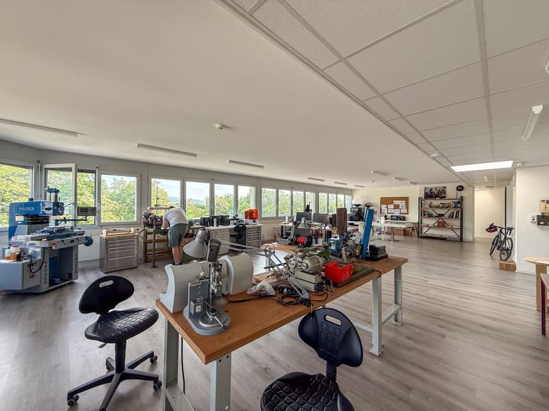 3 primi affitti offerti - Grandi uffici a Nyon - Bella terrazza - Vista sul lago (2)