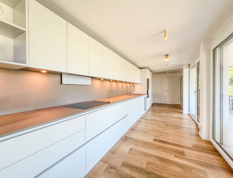 CON CLIMATIZZAZIONE INTEGRATA - Grande appartamento di 4.5 locali di 130m² PPE - Terrazza di 25m² (2)