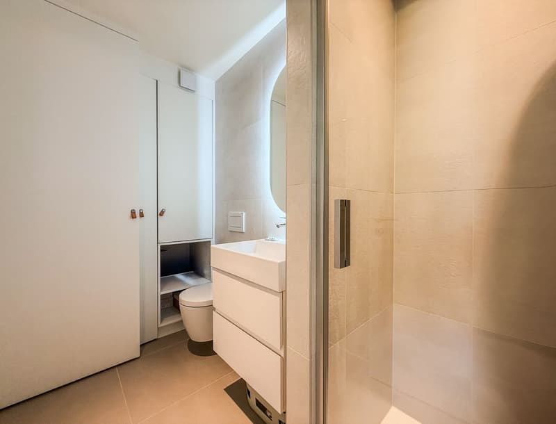 CON CLIMATIZZAZIONE INTEGRATA - Grande appartamento di 4.5 locali di 130m² PPE - Terrazza di 25m² (10)