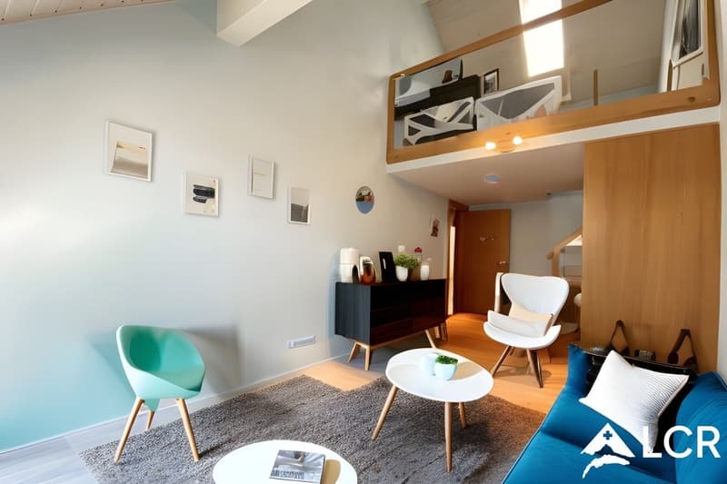 Beautiful apartment/house of 330m2 - Garden - 8 minutes from Morges (8)
