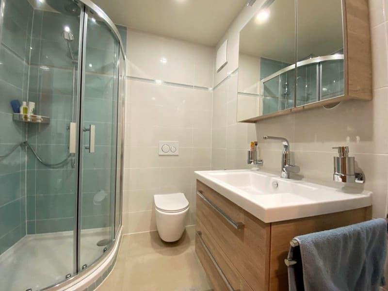 Beautiful apartment/house of 330m2 - Garden - 8 minutes from Morges (10)