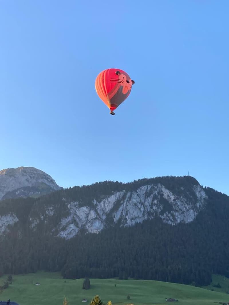 Meraviglioso appartamento di 5.5 locali con vista panoramica sulle Alpi - Château-d'Oex (12)