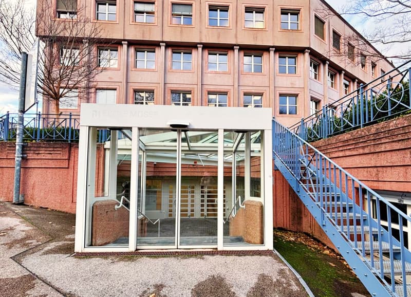 Aussergewöhnliches Gewerbeobjekt im Zentrum von Nyon (3)