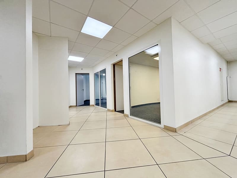 Aussergewöhnliches Gewerbeobjekt im Zentrum von Nyon (9)