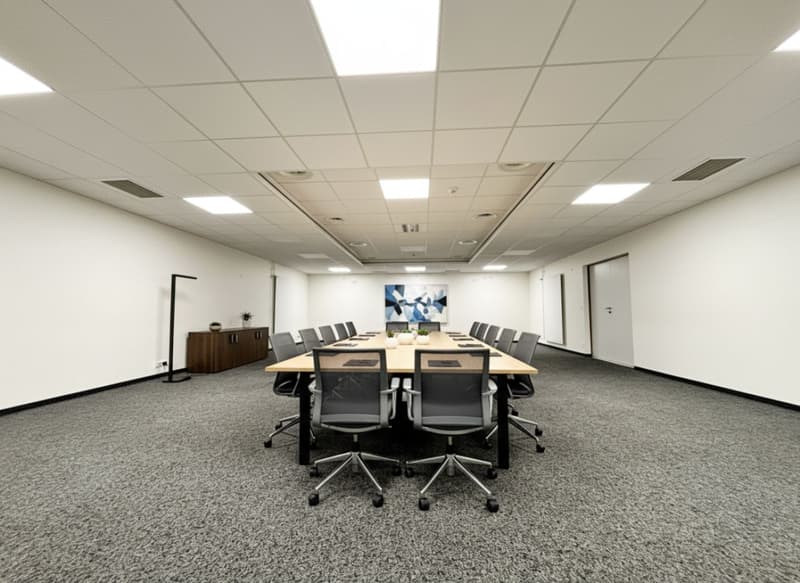 Aussergewöhnliches Gewerbeobjekt im Zentrum von Nyon (7)