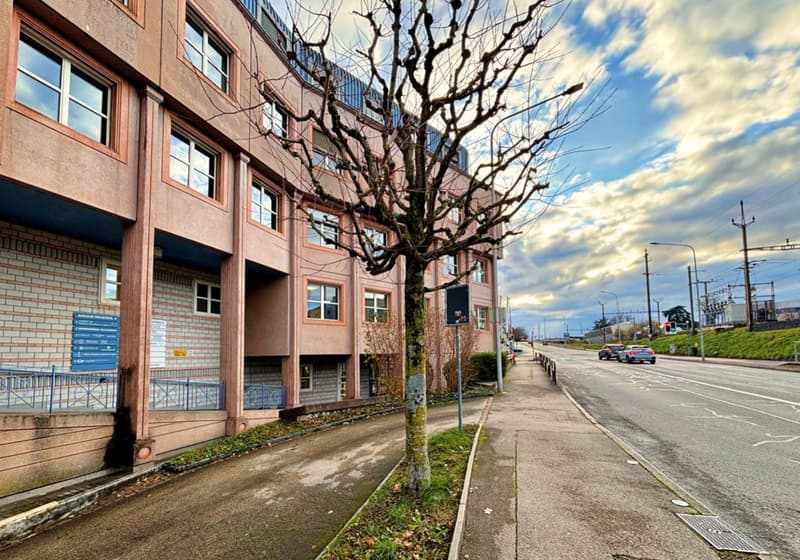 Aussergewöhnliches Gewerbeobjekt im Zentrum von Nyon (2)