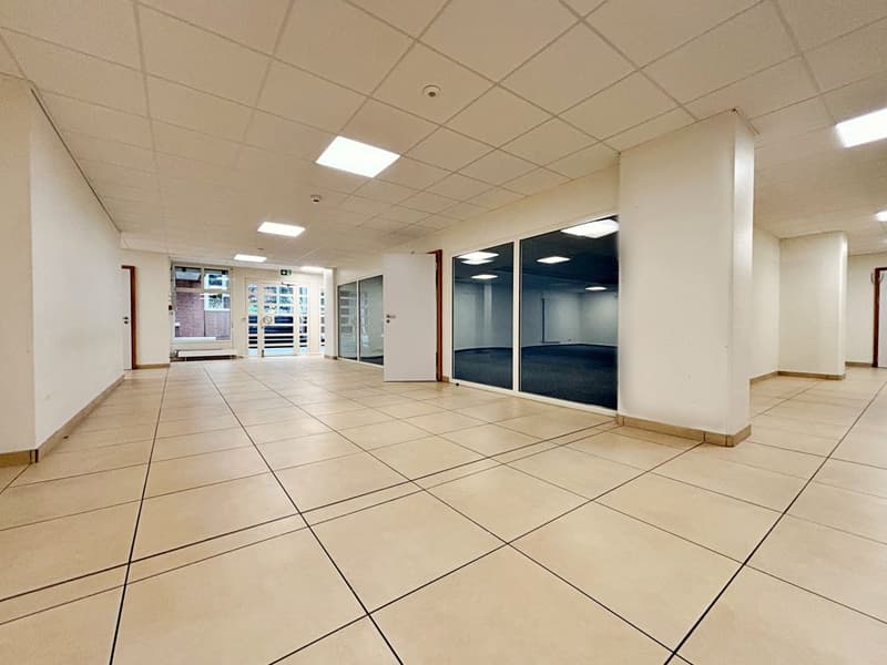 Aussergewöhnliches Gewerbeobjekt im Zentrum von Nyon (5)