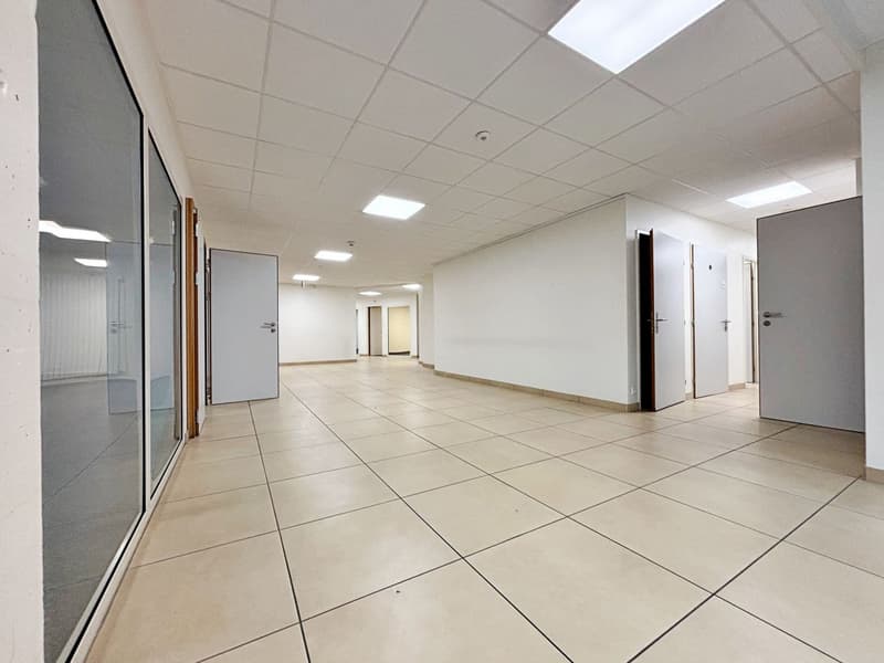 Aussergewöhnliches Gewerbeobjekt im Zentrum von Nyon (11)