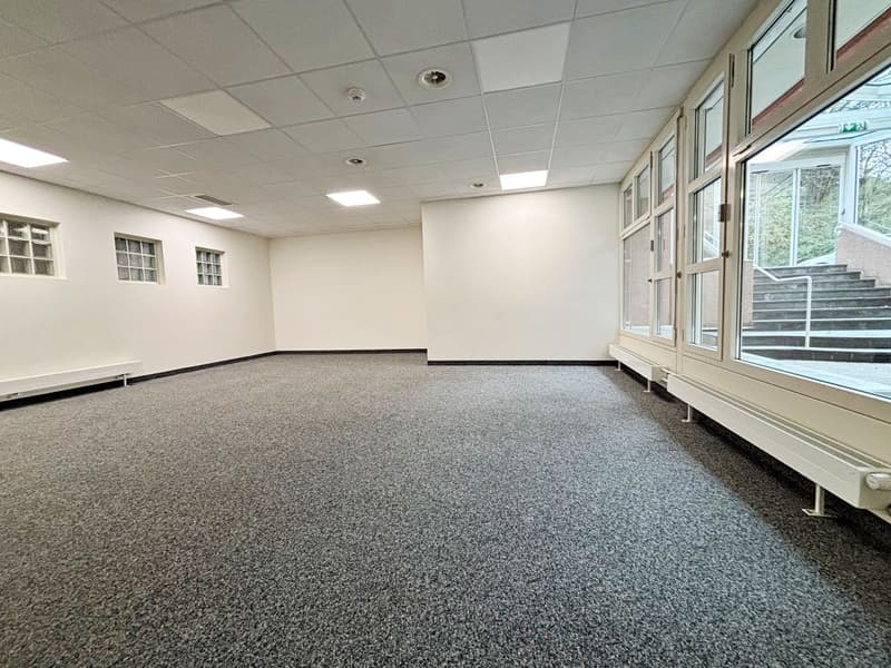 Aussergewöhnliches Gewerbeobjekt im Zentrum von Nyon (8)