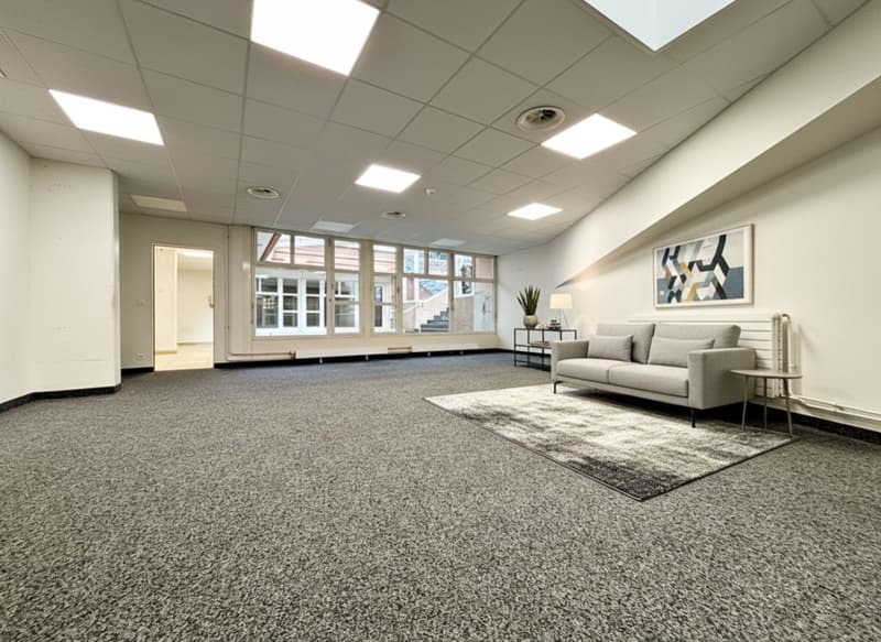 Aussergewöhnliches Gewerbeobjekt im Zentrum von Nyon (6)