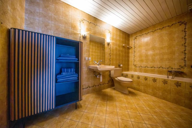 Magnificent 4.5-room duplex / Sion (7)