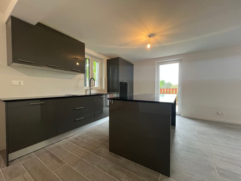 New triplex of 4.5 rooms / 3 bedrooms / 2 bathrooms / Balcony / Private garden (3)