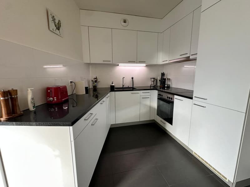 Sublet - Beautiful furnished apartment of 7.5 rooms / 4 bedrooms / Balcony (8)