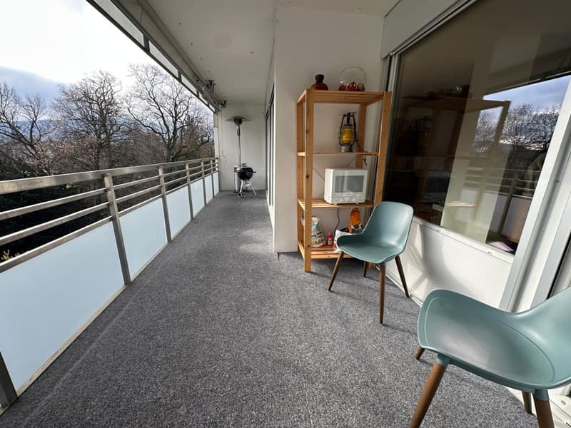 Sublet - Beautiful furnished apartment of 7.5 rooms / 4 bedrooms / Balcony (13)
