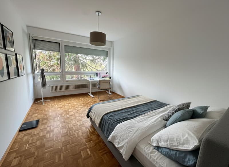 Sublet - Beautiful furnished apartment of 7.5 rooms / 4 bedrooms / Balcony (10)