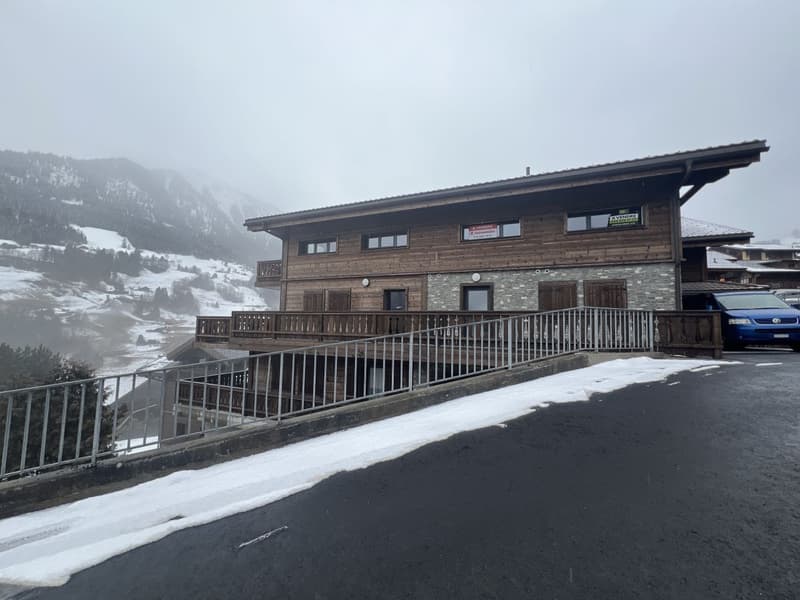 Beautiful new Duplex / 3 Bedrooms / 2 Bathrooms / 1 Balcony / Minergie (9)