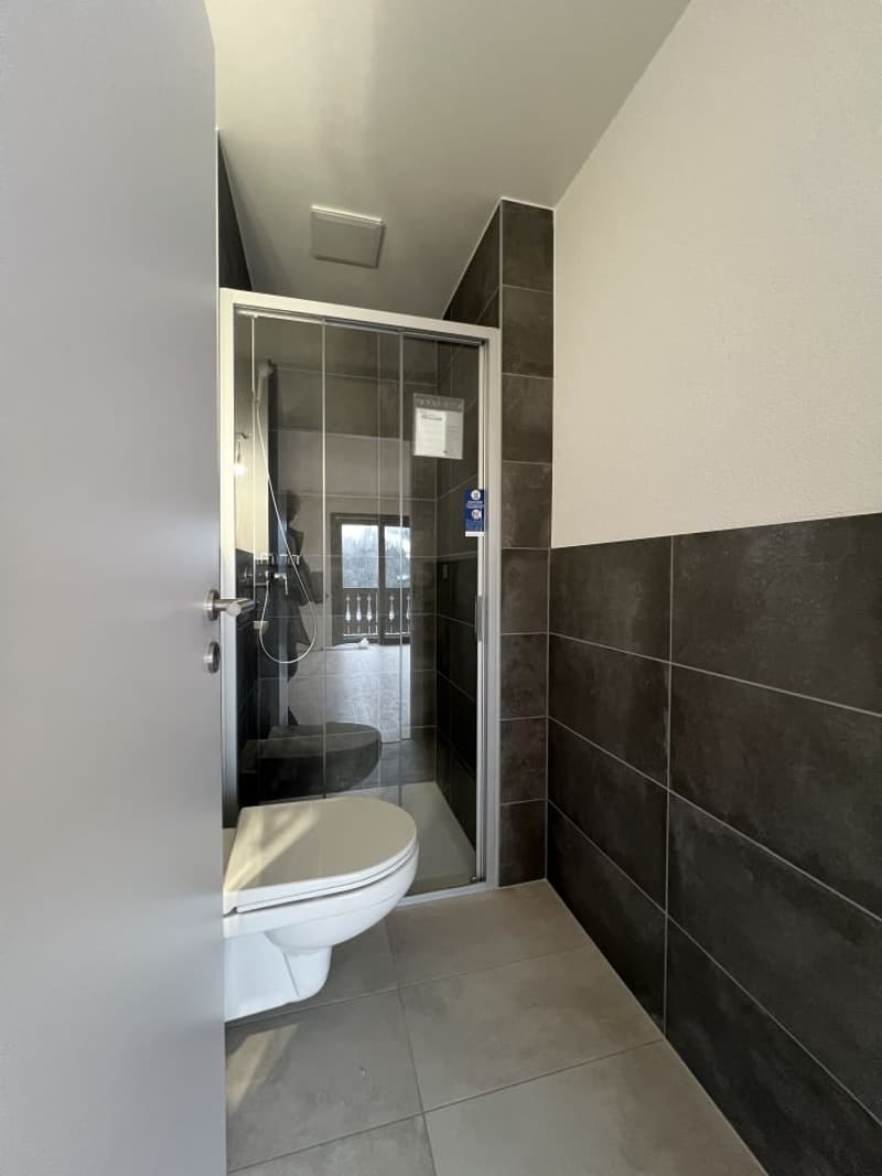 Beautiful new Duplex / 3 Bedrooms / 2 Bathrooms / 1 Balcony / Minergie (11)
