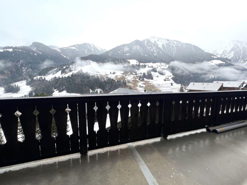 Beautiful new Duplex / 3 Bedrooms / 2 Bathrooms / 1 Balcony / Minergie (8)