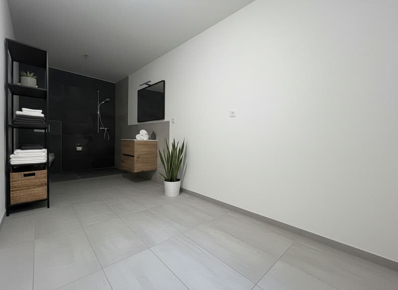 Beautiful new Duplex / 3 Bedrooms / 2 Bathrooms / 1 Balcony / Minergie (7)