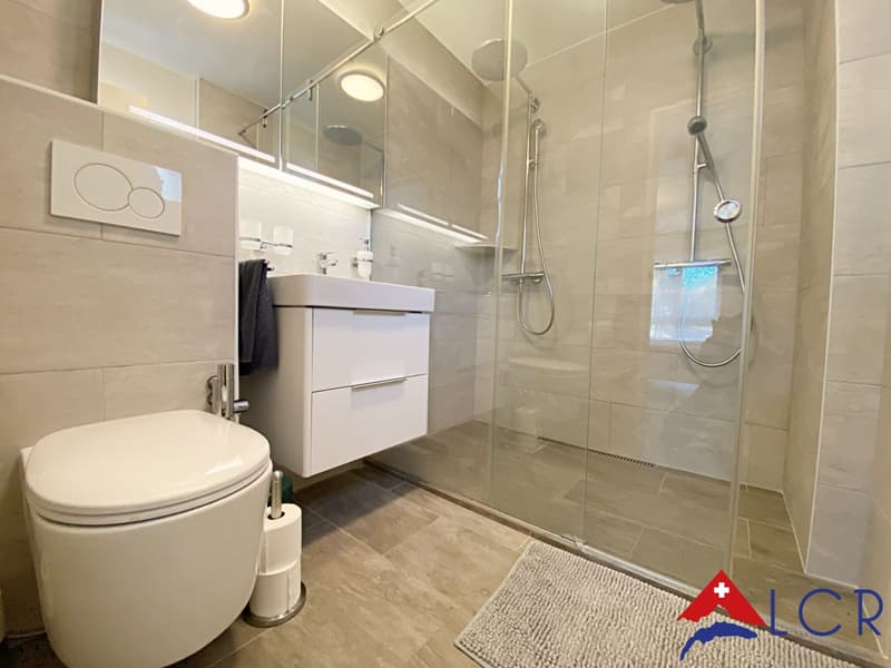Splendid furnished 5-room apartment with lake view (8)