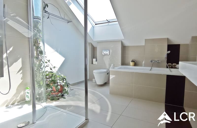 Magnifique villa meublée 8,5p / 6 chambres + Studio / jardin - piscine (8)