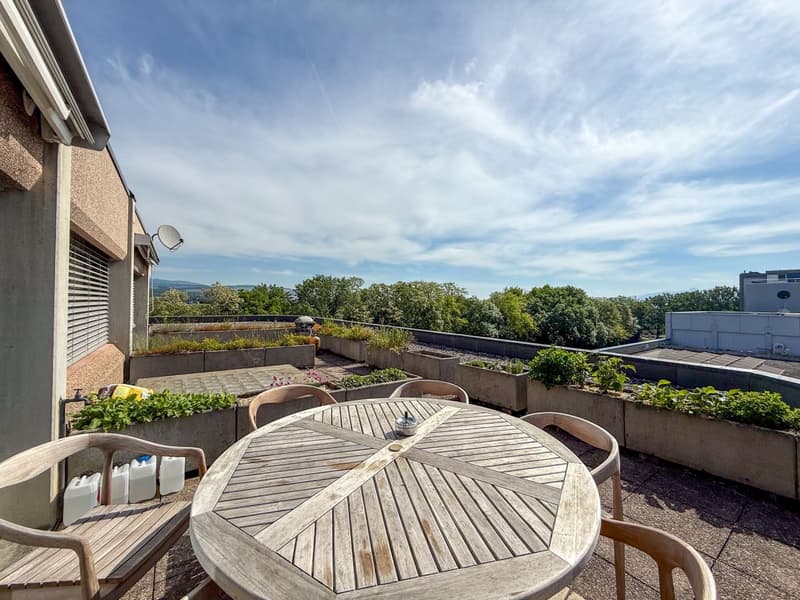 3 erste Mieten angeboten - Büro in Nyon - Terrasse (2)