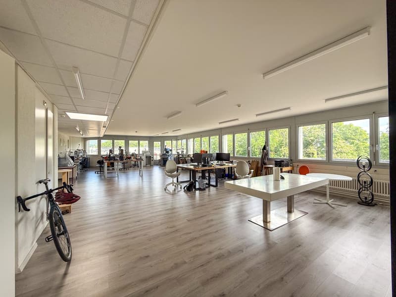 3 erste Mieten angeboten - Büro in Nyon - Terrasse - Seeblick (2)