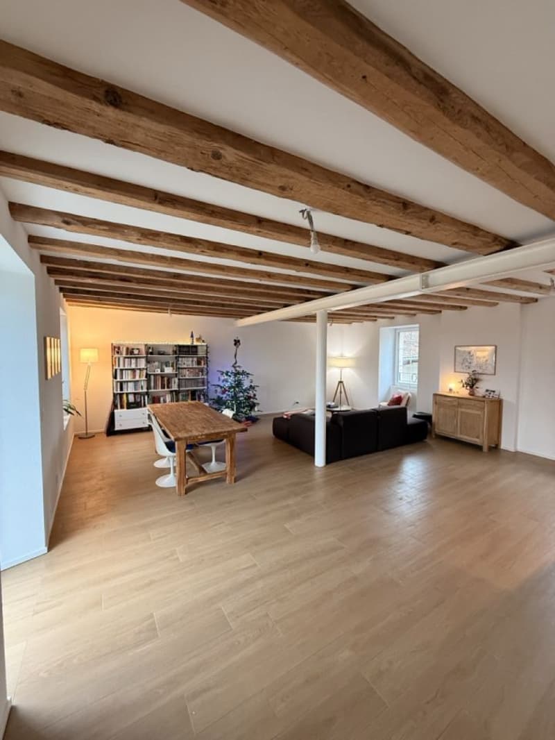 À louer - Magnifique appartement de 4.5 pièces à Féchy (VD) (7)
