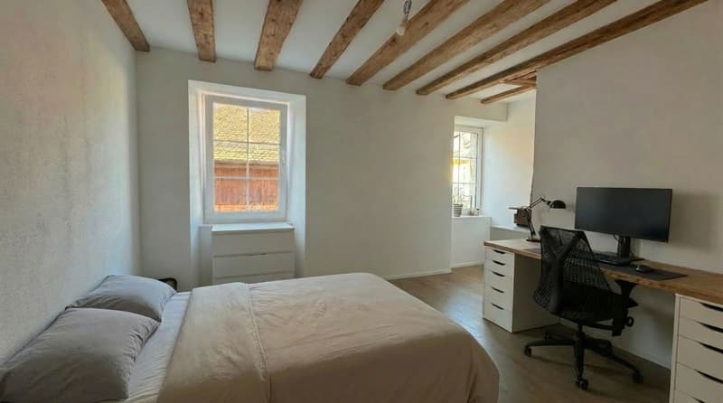 À louer - Magnifique appartement de 4.5 pièces à Féchy (VD) (6)