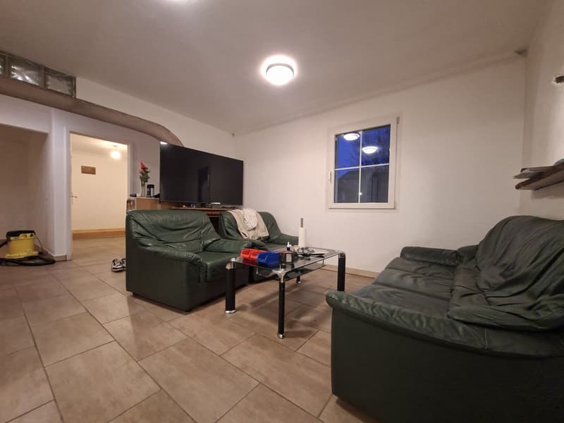 Large single-family house with its independent 3.5-room apartment above / yield (12)