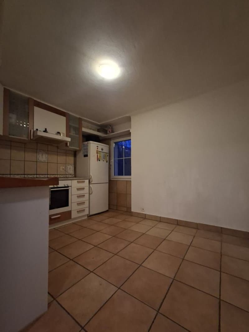 Large single-family house with its independent 3.5-room apartment above / yield (13)