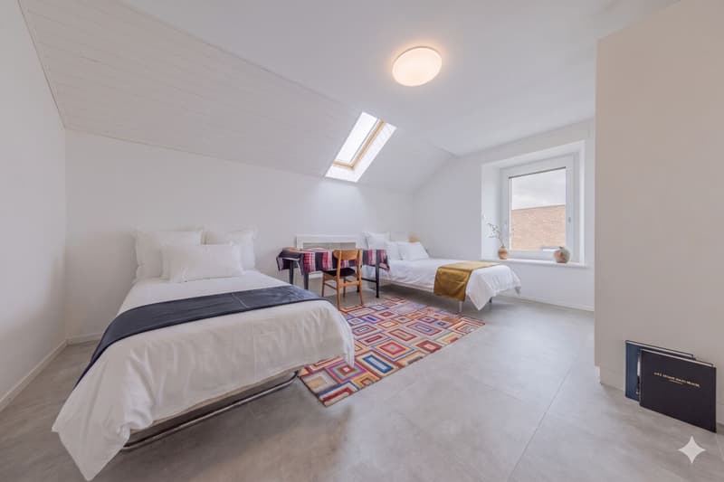 Splendid duplex of 6.5 rooms in the attic - View of Mont Blanc - 10 minutes from Nyon (10)