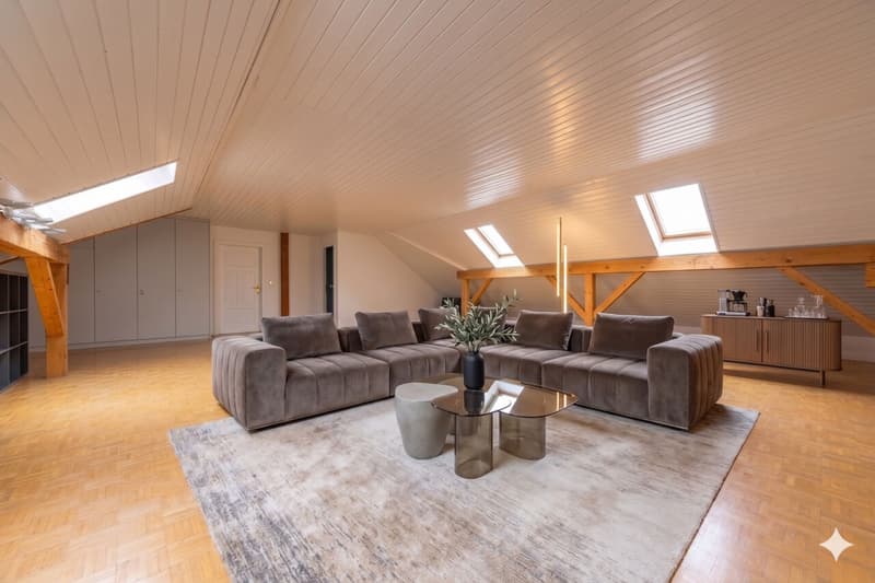 Splendid duplex of 6.5 rooms in the attic - View of Mont Blanc - 10 minutes from Nyon (5)