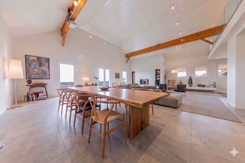 Splendid duplex of 6.5 rooms in the attic - View of Mont Blanc - 10 minutes from Nyon (2)