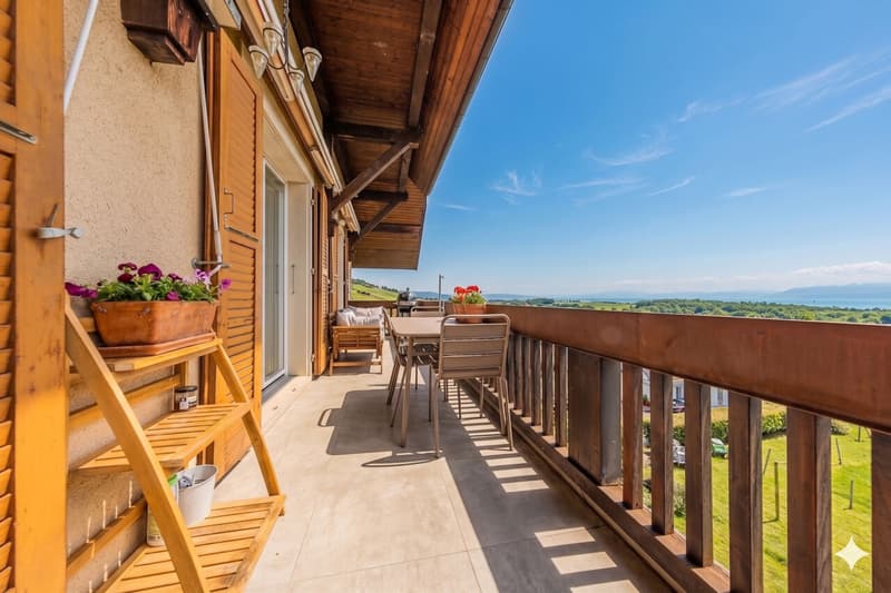 Splendid duplex of 6.5 rooms in the attic - View of Mont Blanc - 10 minutes from Nyon (4)