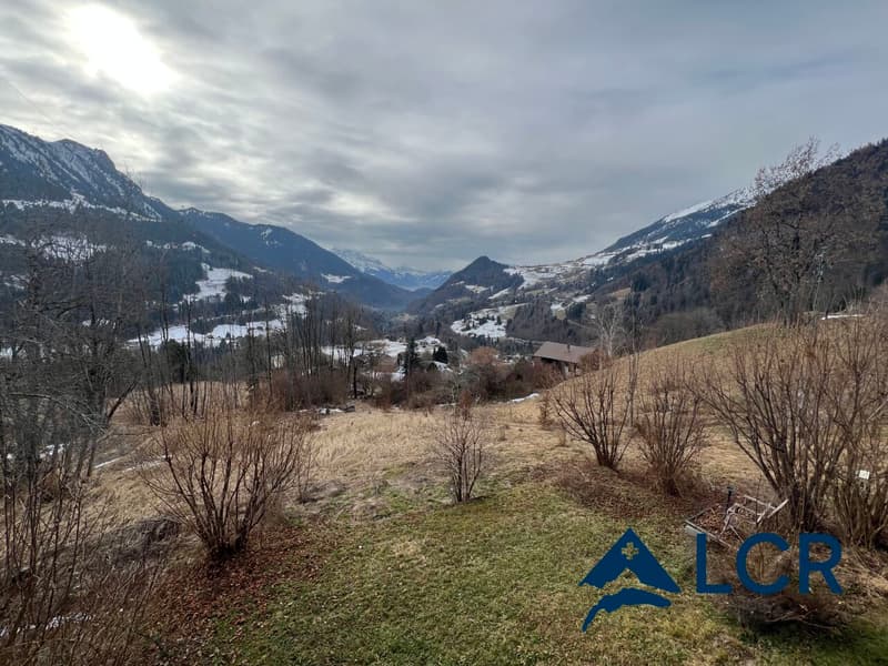 Beautiful and large individual chalet of 200m2 with land of 800m2 (1)